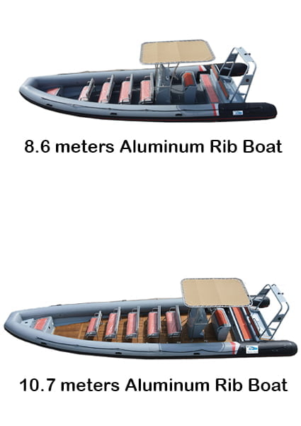 new rib boat